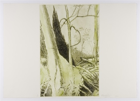 2017.86 Max Miller Minnamurra Rainforest 1990