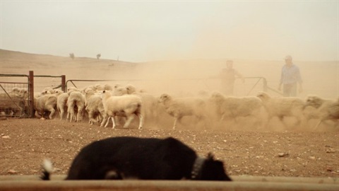 Dust Cloud