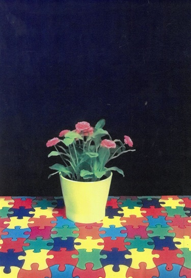 Bella (Queanbeyan West Public School), Puzzle Pot, 2024, manipulated photograph
